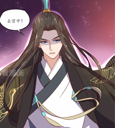 王妃的婚后指南