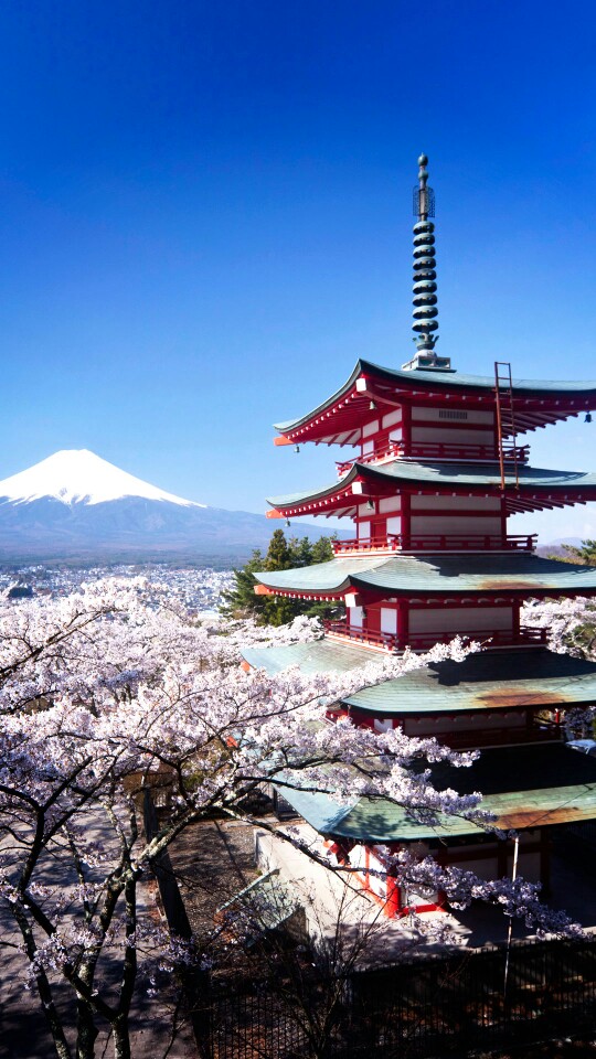 富士山 樱花 壁纸 背景