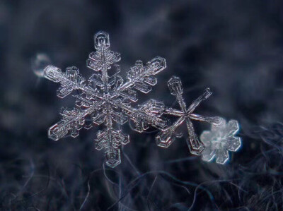 雪花
