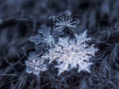 雪花
