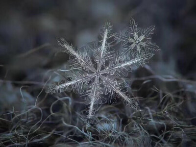 雪花