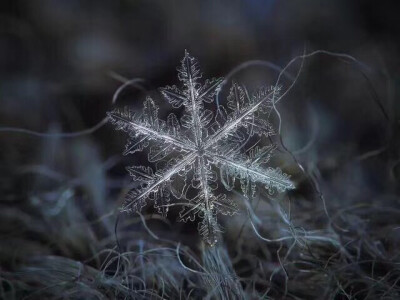 雪花