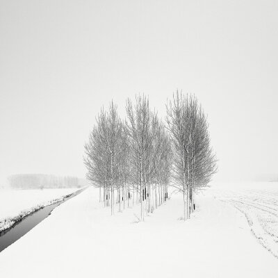 瑞士摄影师Pierre Pellegrini拍摄的黑白照片 ——