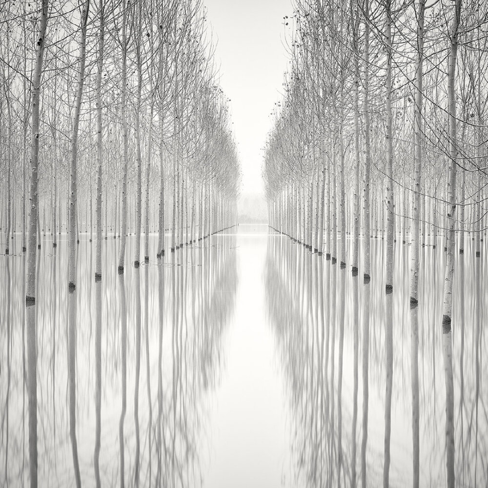 瑞士摄影师Pierre Pellegrini拍摄的黑白照片 ——