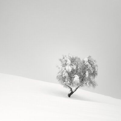 瑞士摄影师Pierre Pellegrini拍摄的黑白照片 ——