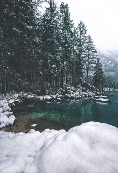 林间大雪