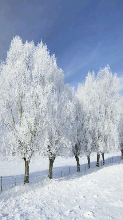 雪景真的是美丽动人哇