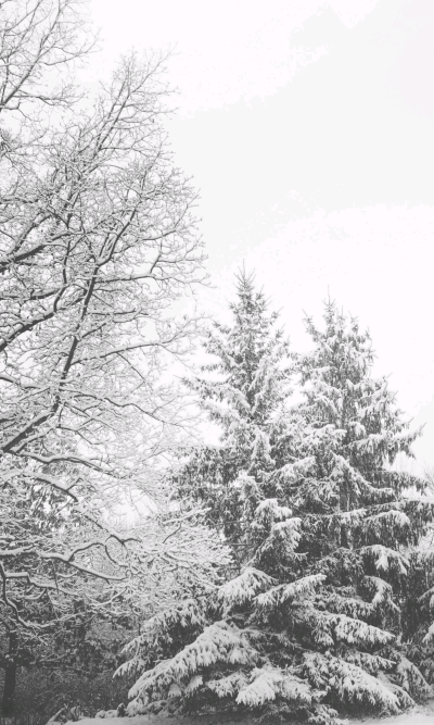 雪景真的是美丽动人哇