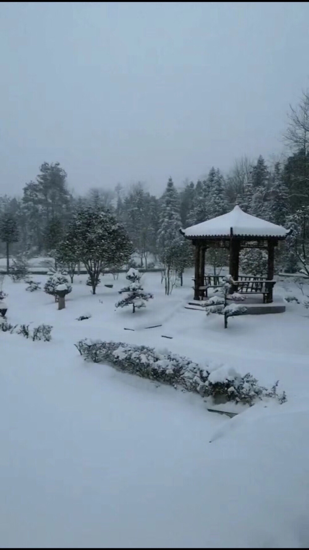 我家那边下了好大的雪（从伯伯pyq拿来的图）