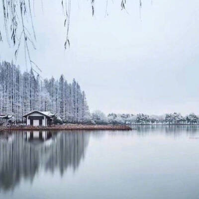 西湖*雪