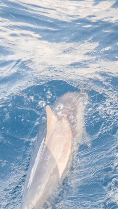 壁纸*清新.风景.高清