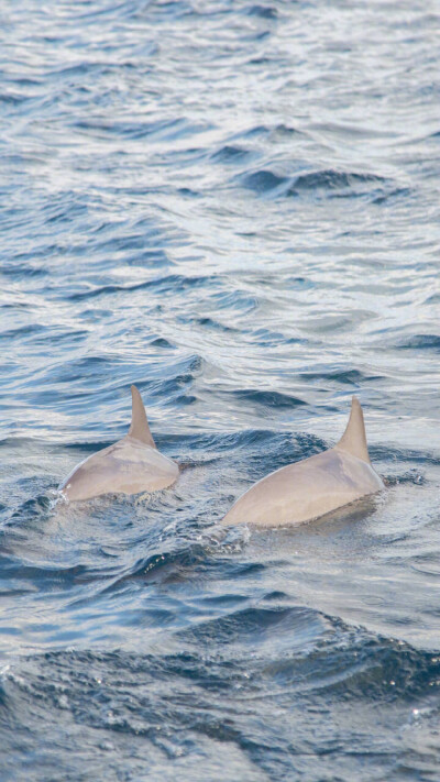 壁纸*清新.风景.高清
