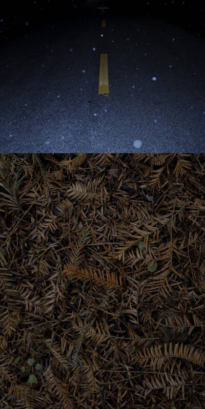 冬天*壁纸.背景