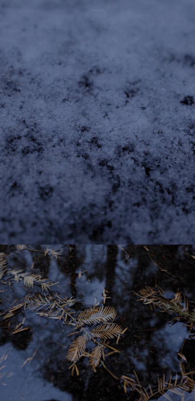 冬天*壁纸.背景