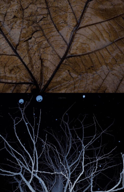 冬天*壁纸.背景