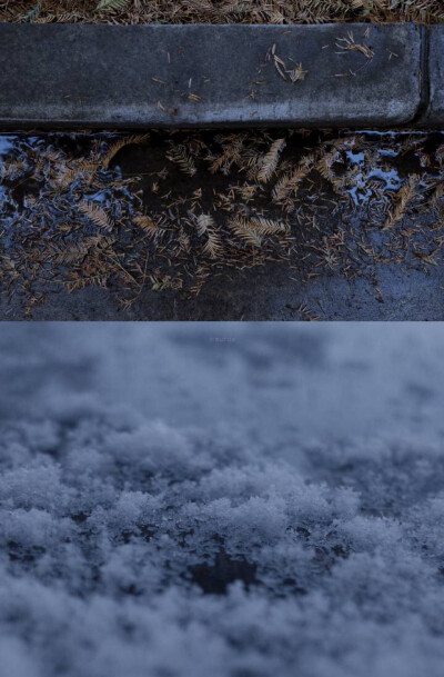 冬天*壁纸.背景