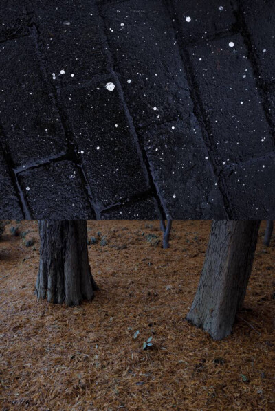 冬天*壁纸.背景