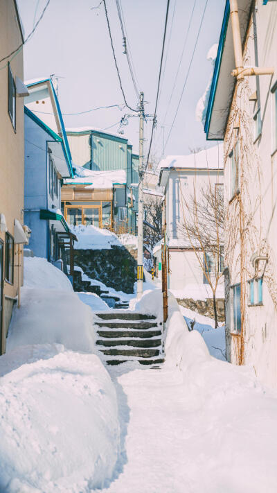 高清壁纸——风景静物