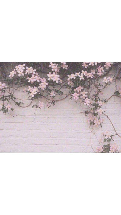 ♡︎
我很害怕别人喜欢我 
因为我觉得他肯定不了解我 
如果他了解我 就肯定不会喜欢我了 
因为我自己也不喜欢我自己