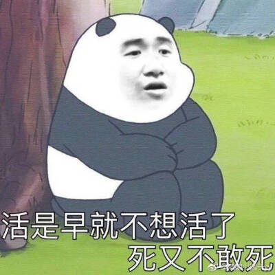 搞笑图片