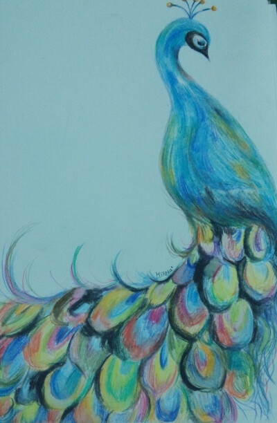 彩铅的魅力(●_●)