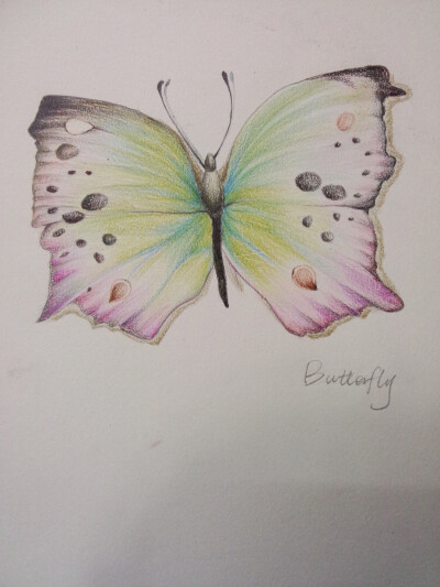 彩铅的魅力(●_●)