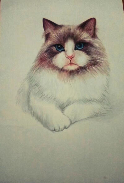 彩铅的魅力(●_●)