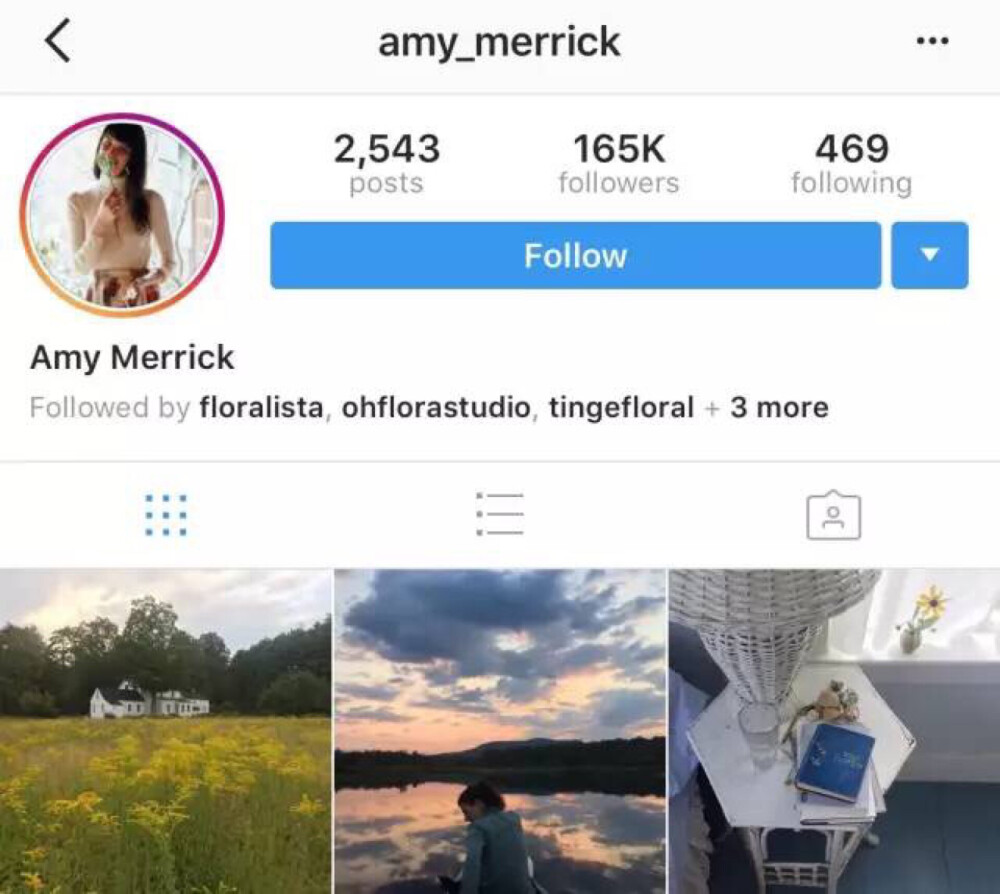 Amy Merrick是纽约知名的自然风花艺设计师，从日本到纽约，花艺设计师兼造型师Amy总会穿梭于世界的各个角落寻找美丽的植物。看她的ins，除了花艺就是各种美好与浪游。