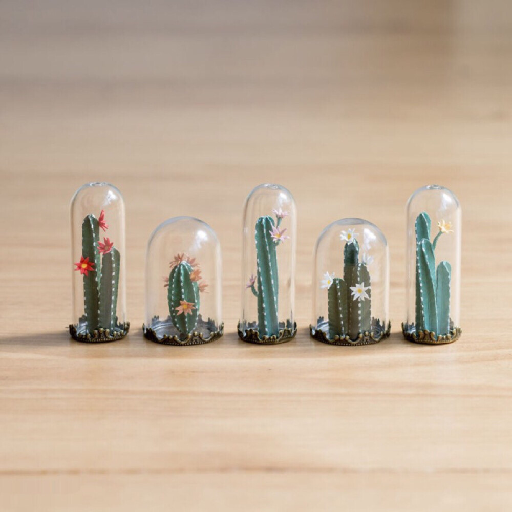 は蛋｜迷你植物园