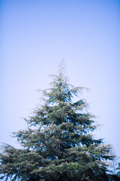 二零一八年二月三日，天气晴