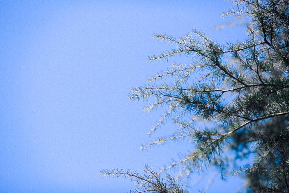 二零一八年二月三日，天气晴