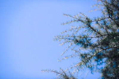 二零一八年二月三日，天气晴