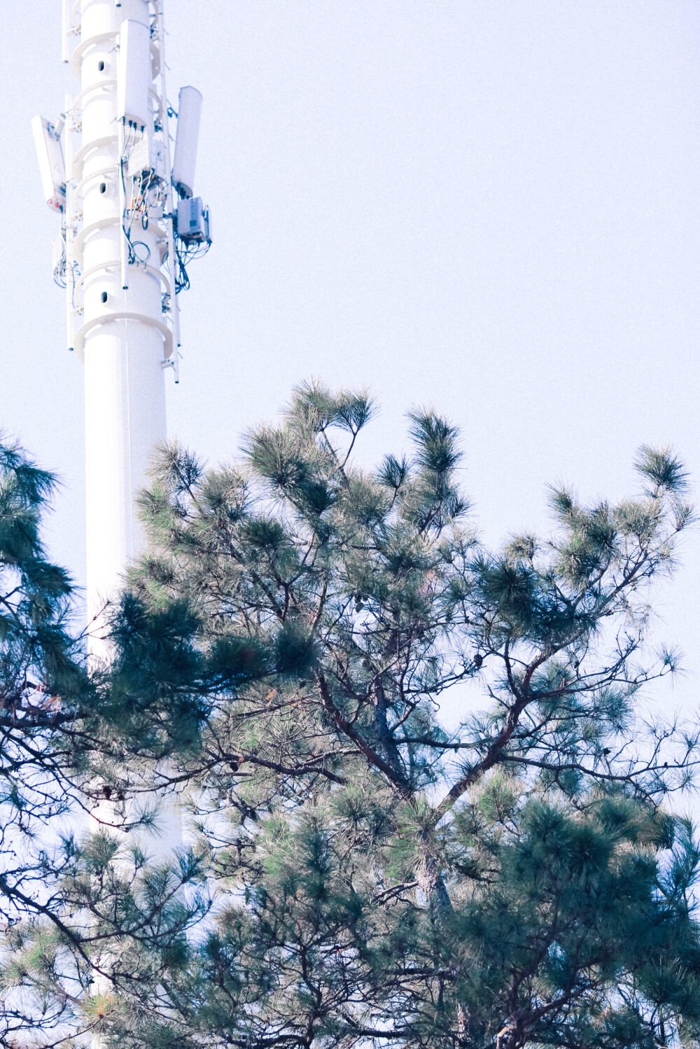 二零一八年二月三日，天气晴