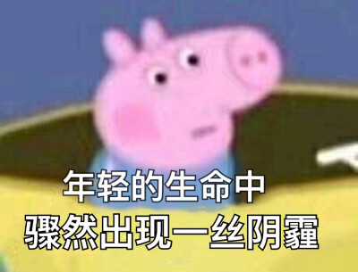 小猪佩琦 表情包