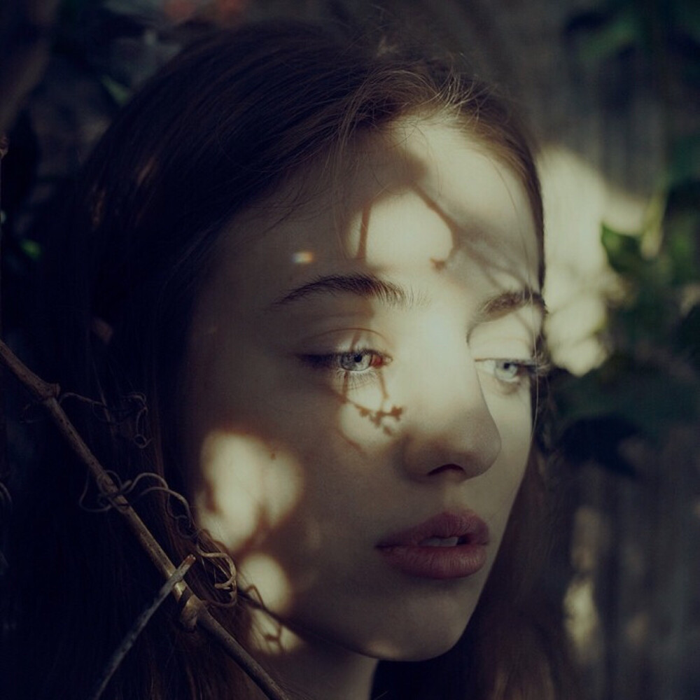 不换头像会死星人