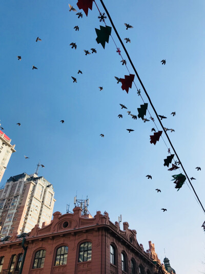 哈尔滨呀
新年快乐
2018加油