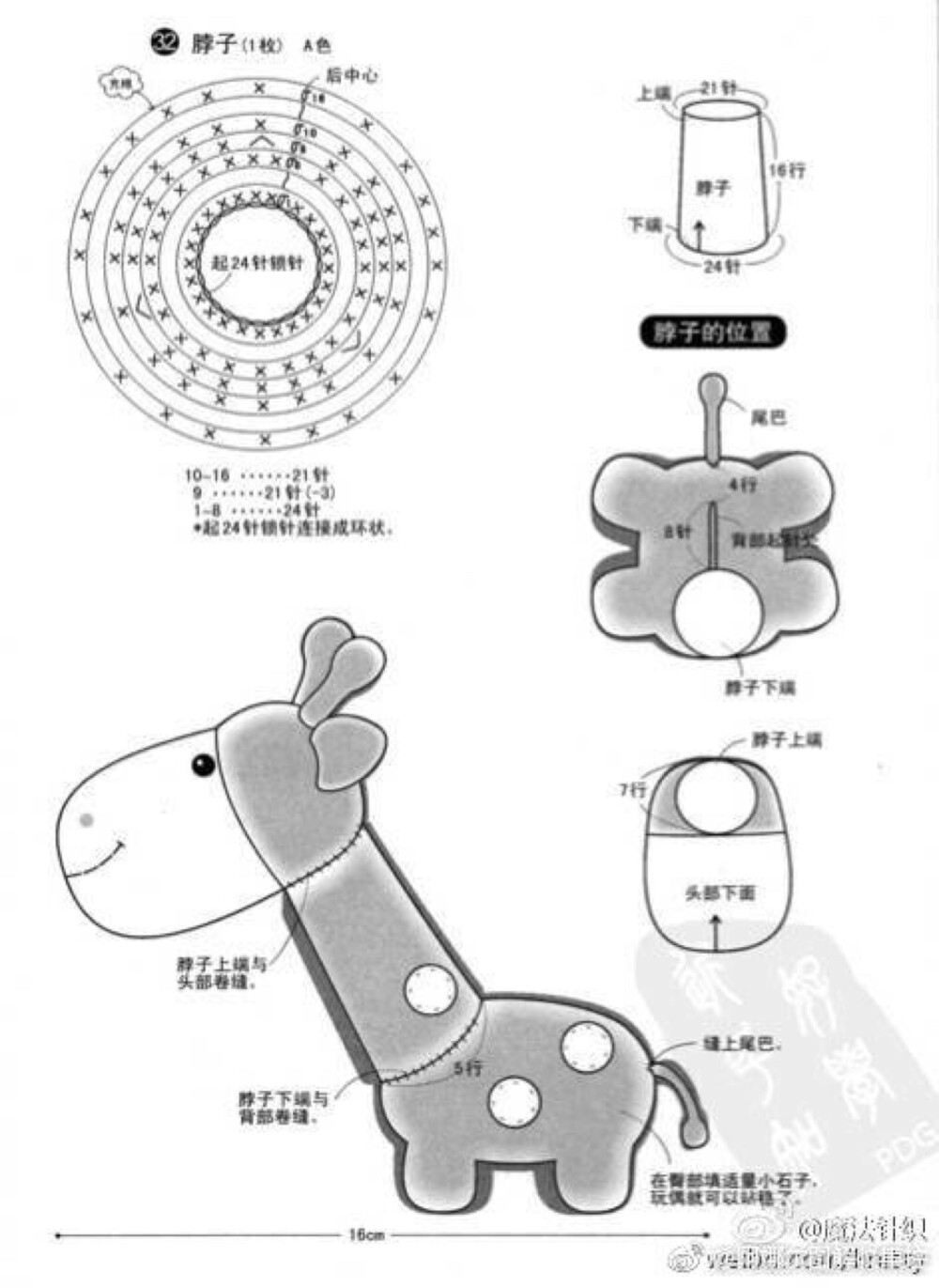 长颈鹿 河马 象