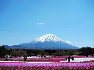 は蛋｜日本富士山河口湖