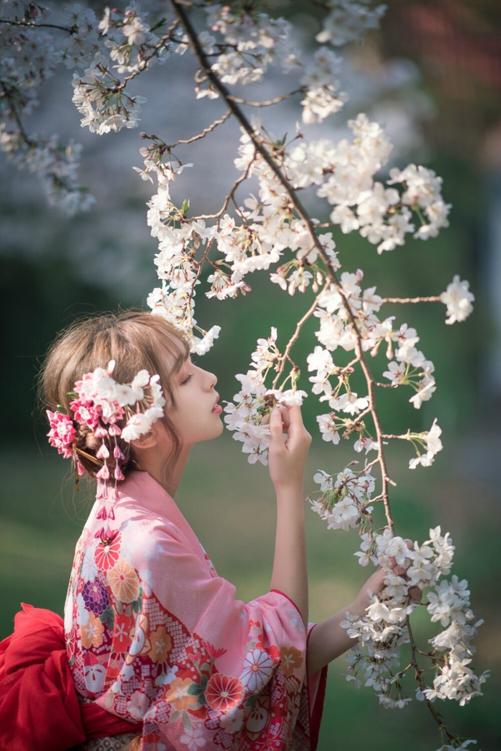 花 写真 少女