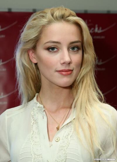 Amber Heard 她是真好看，挑不出毛病那种。但是没有记忆点，我看过她好几部戏了，也吃了好几颗八卦瓜，看海王还是得犹豫一下女主到底是不是她。