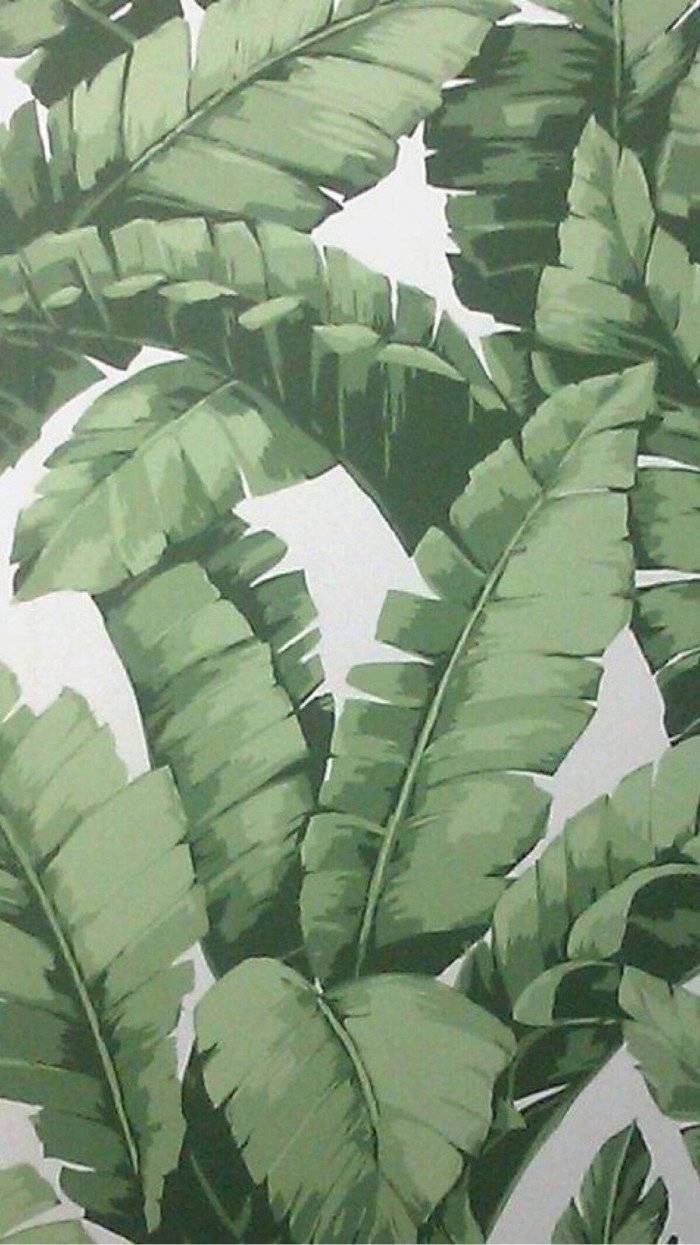 月亮才不会奔你而来