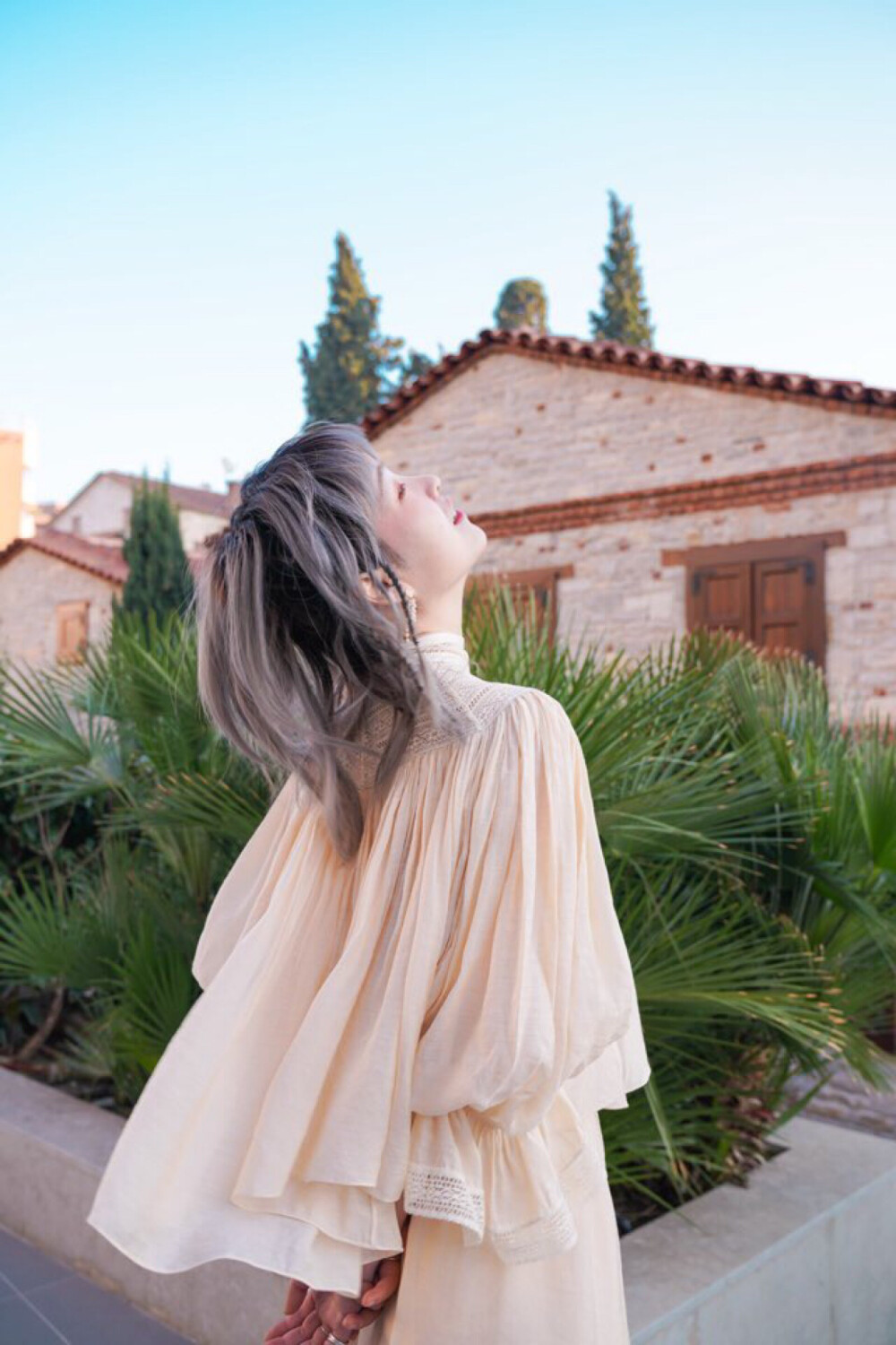 土耳其特产：粘人的猫