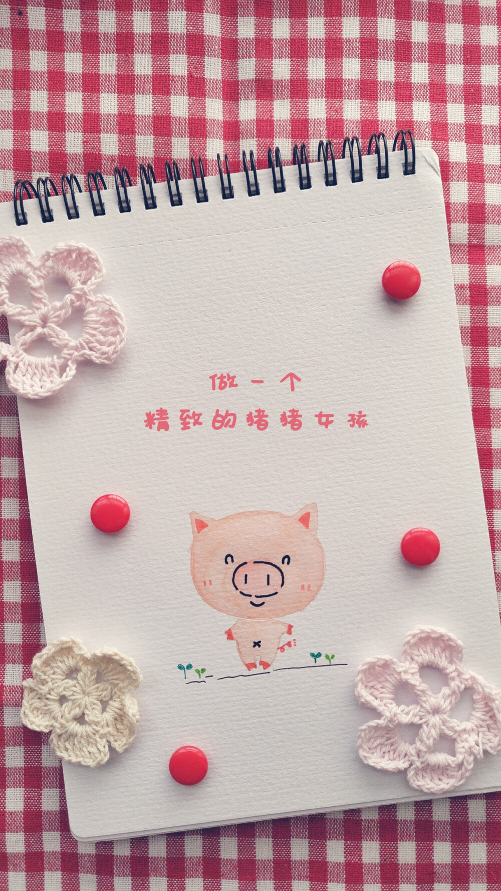 猪猪 水彩 新年 2019 清新 可爱 唯美 手机壁纸 励志 欢迎关注公众号《懒生活slow》