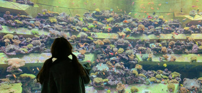 亚特兰蒂斯水族馆