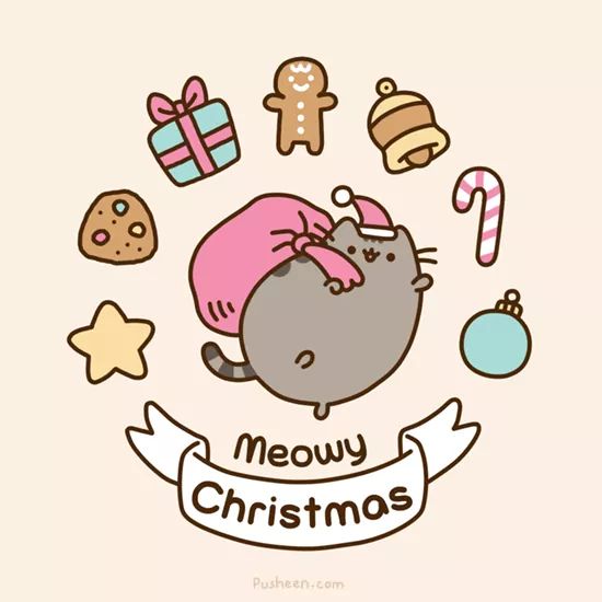 Pusheen cat