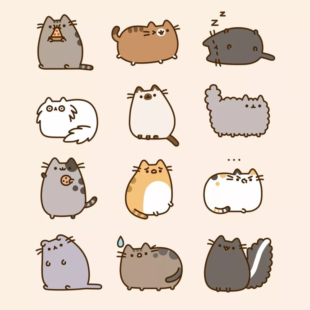 Pusheen cat