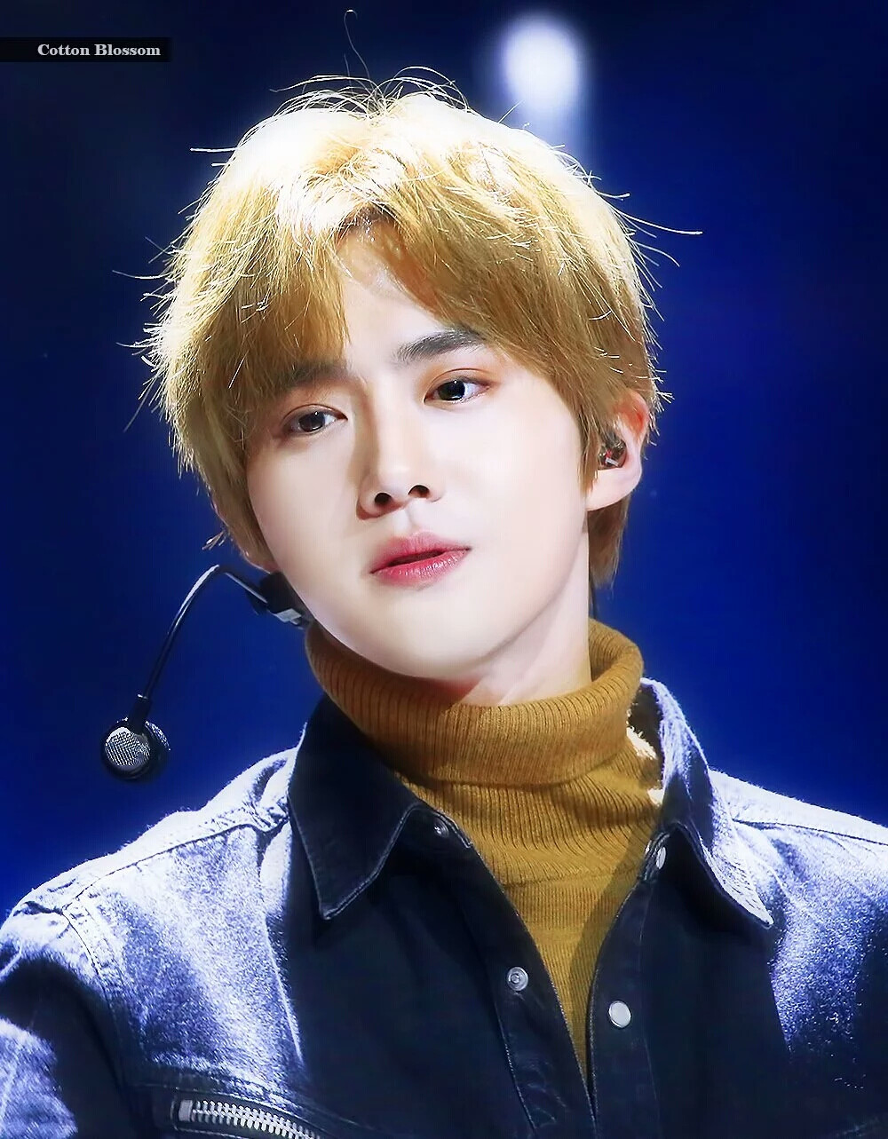 exosuho