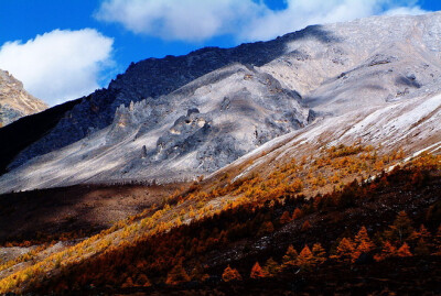 川西深处的天堂，海拔四千的那一片纯净。——稻城亚丁