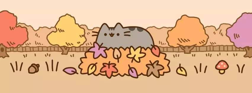 Pusheen cat