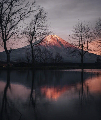 富士山下